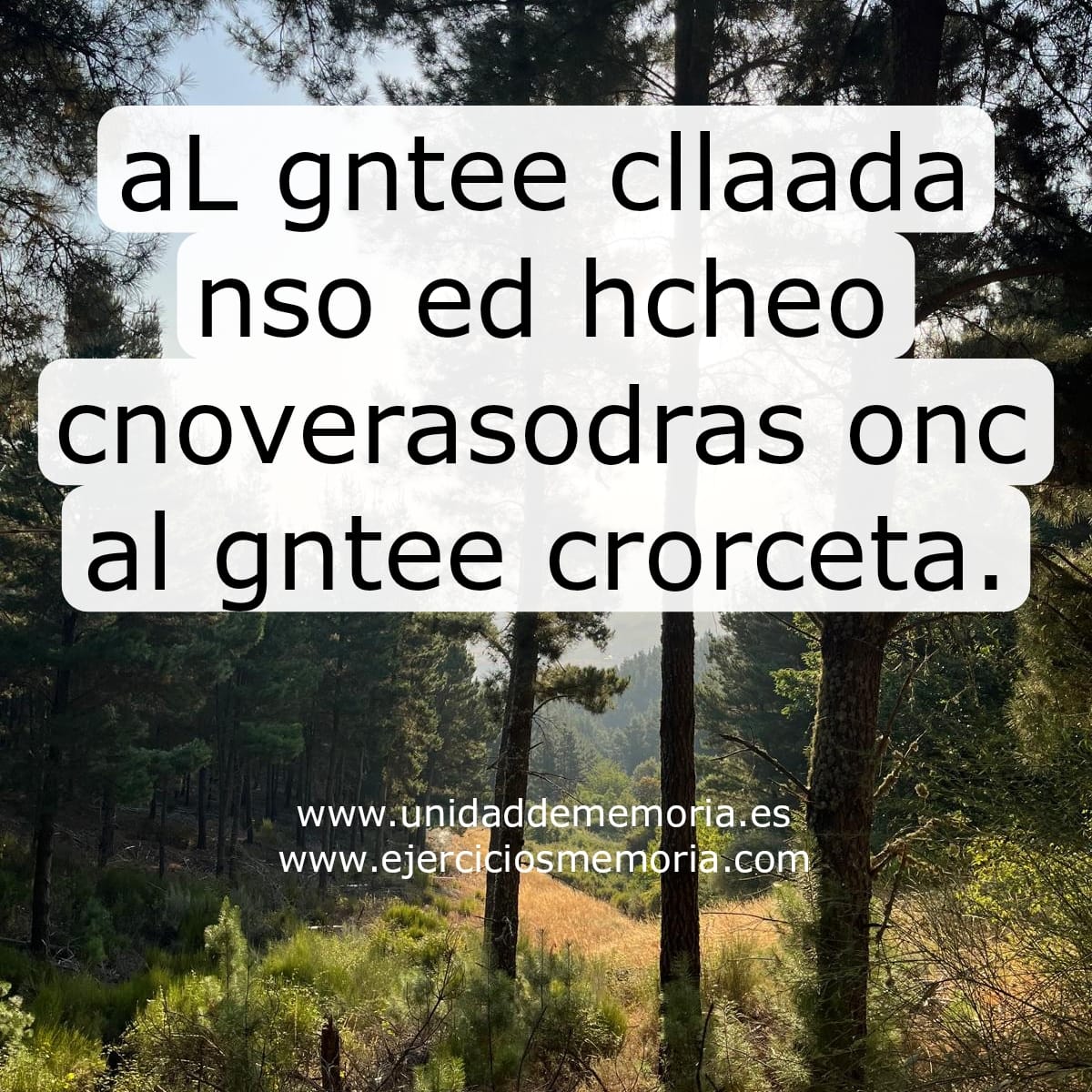 Descifra el mensaje