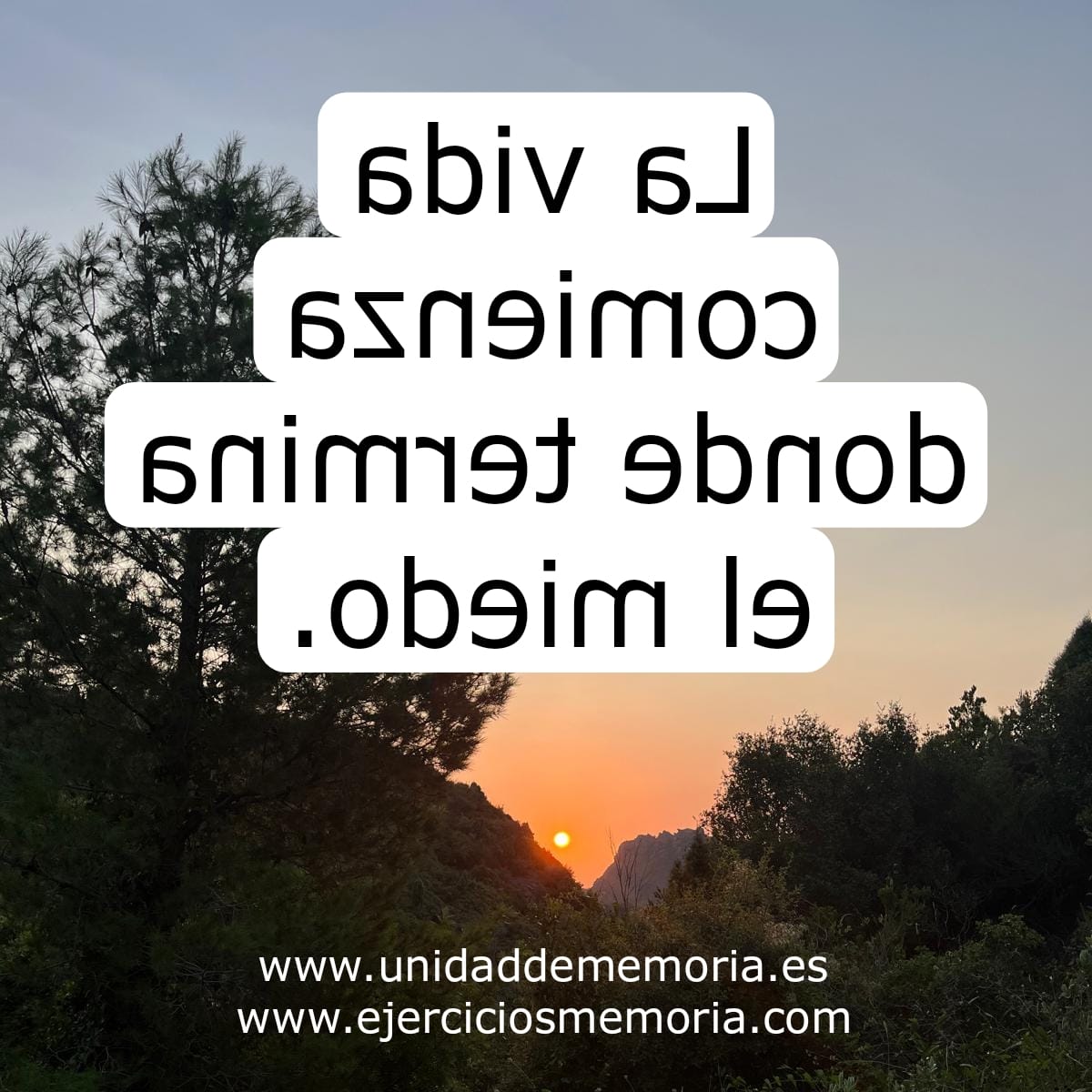 Descifra el mensaje
