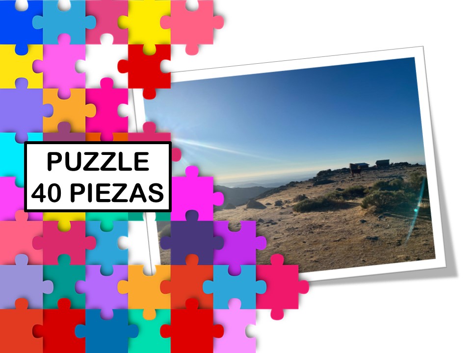 puzzle