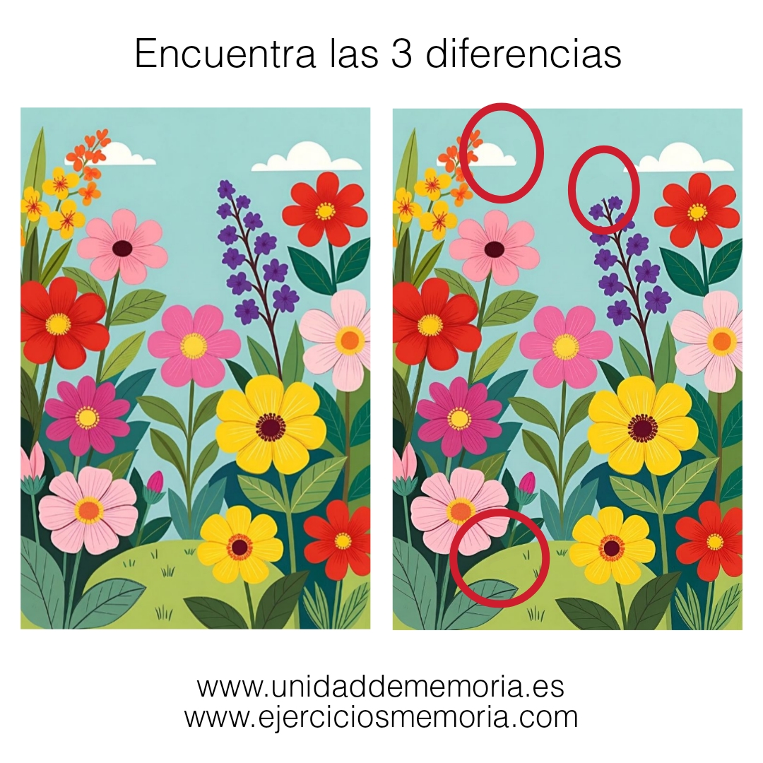 Solución al ejercicio: Diferencias