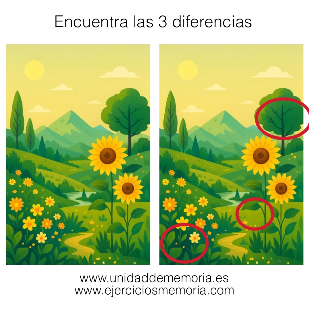 Solución al ejercicio: Diderencias