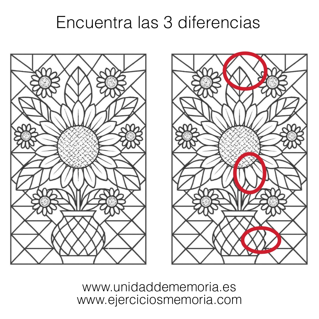 Solución al ejercicio: Diferencias