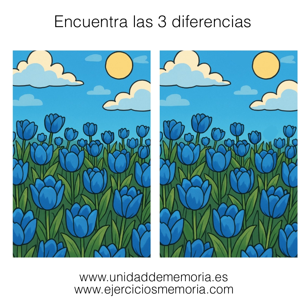 Diferencias