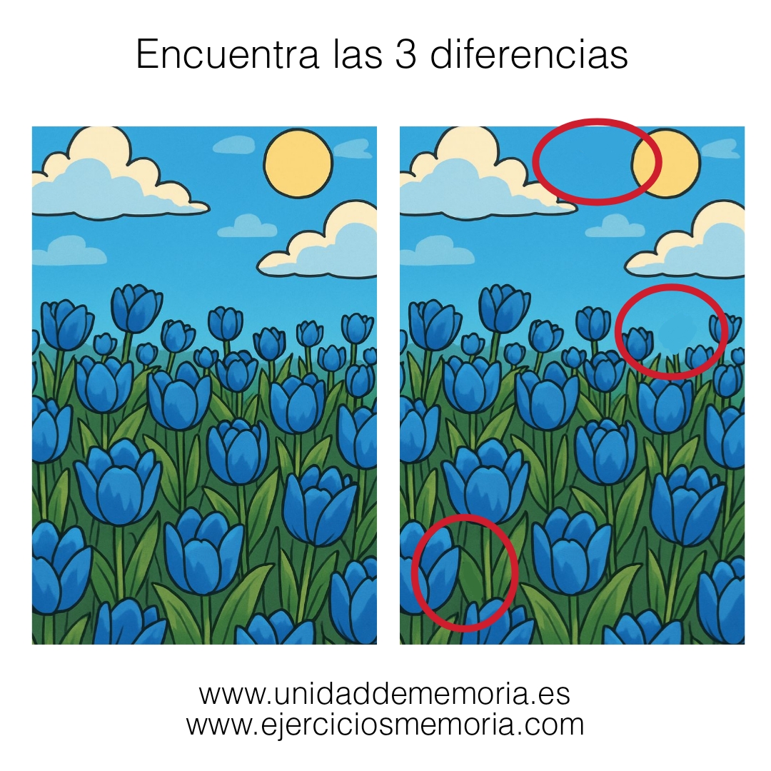 Solución al ejercicio: Diferencias