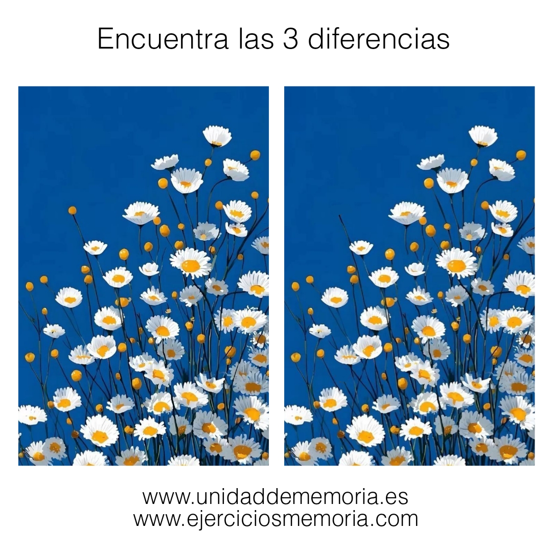 Diferencias