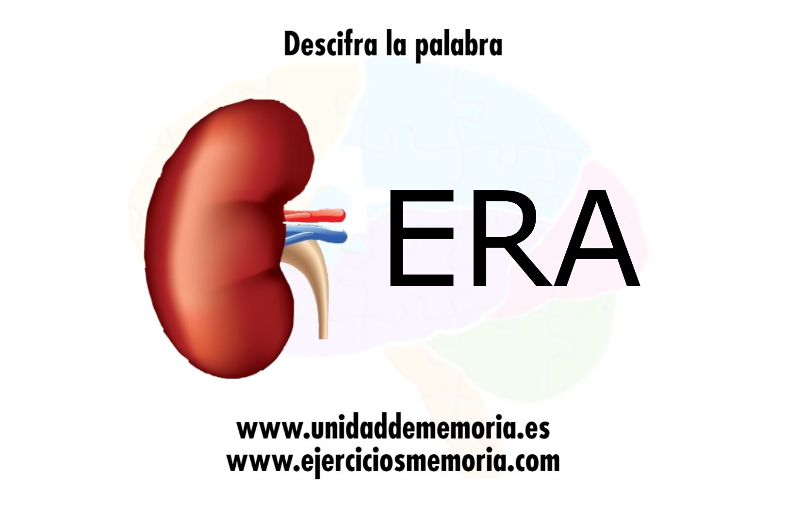 Descifra la palabra