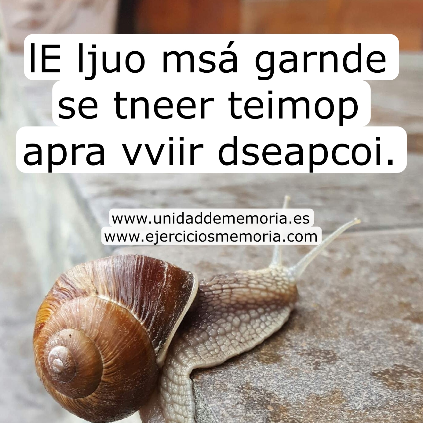 Descifra el mensaje
