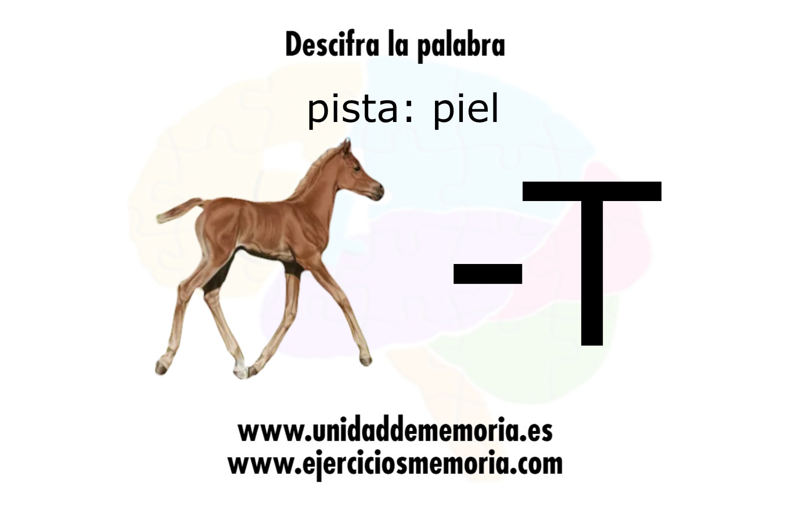 Descifra la palabra