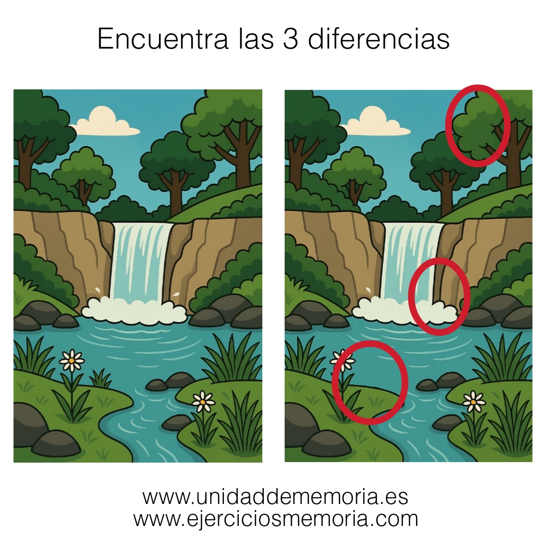 Solución al ejercicio: Diferencias