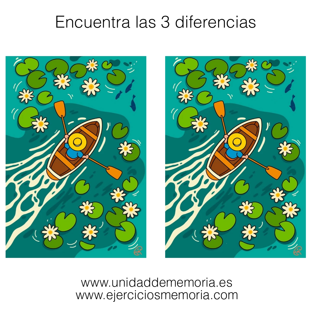 Diferencias