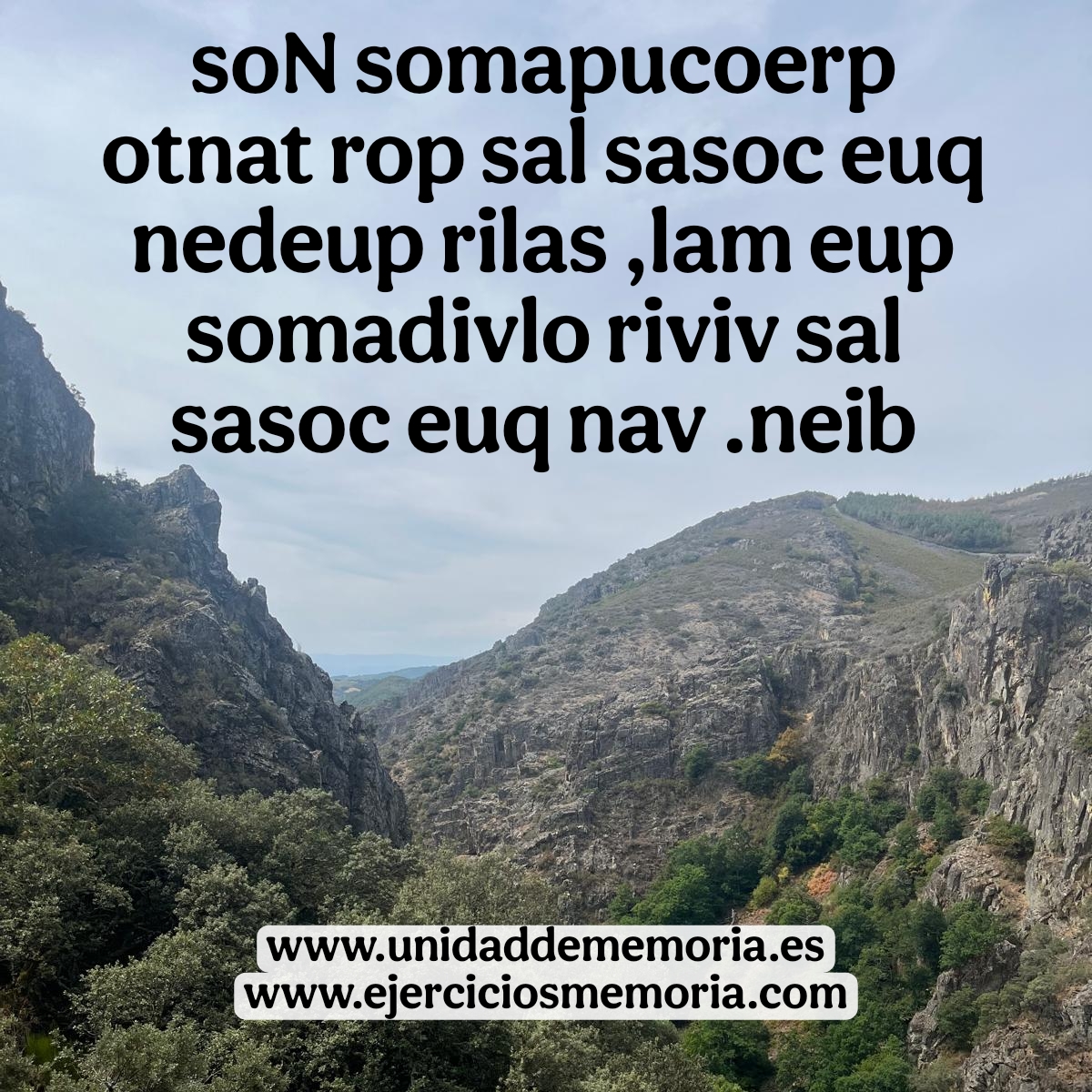 Descifra el mensaje