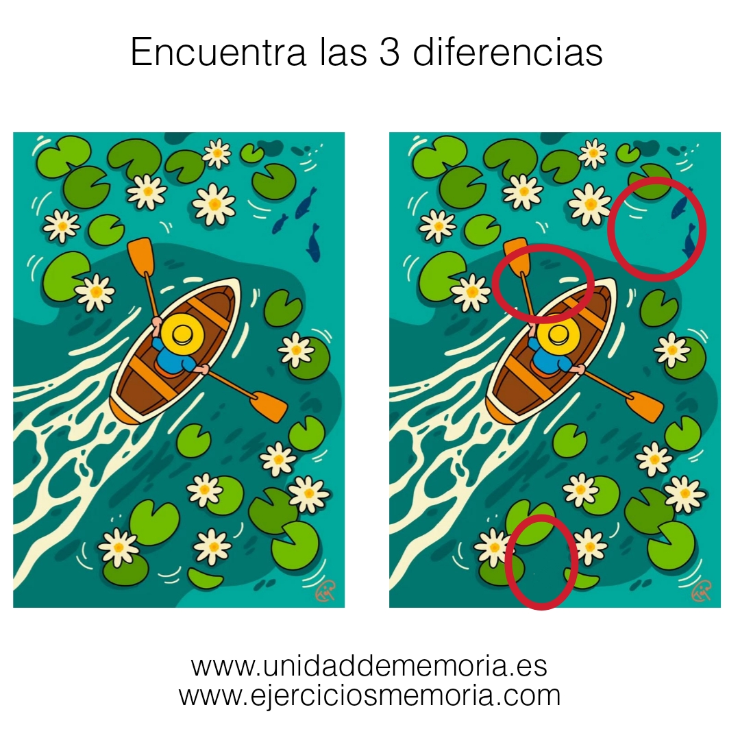 Solución al ejercicio: Diferencias