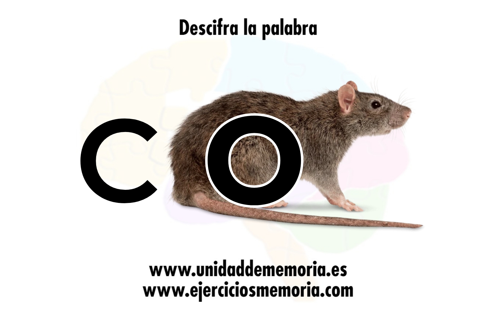 Descifra la palabra