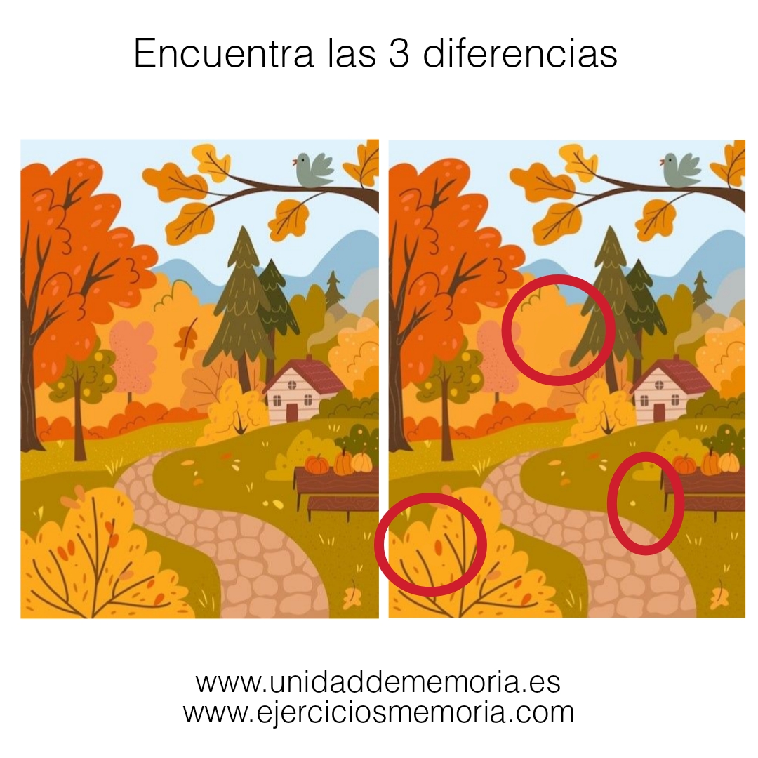 Solución al ejercicio: Diferencias