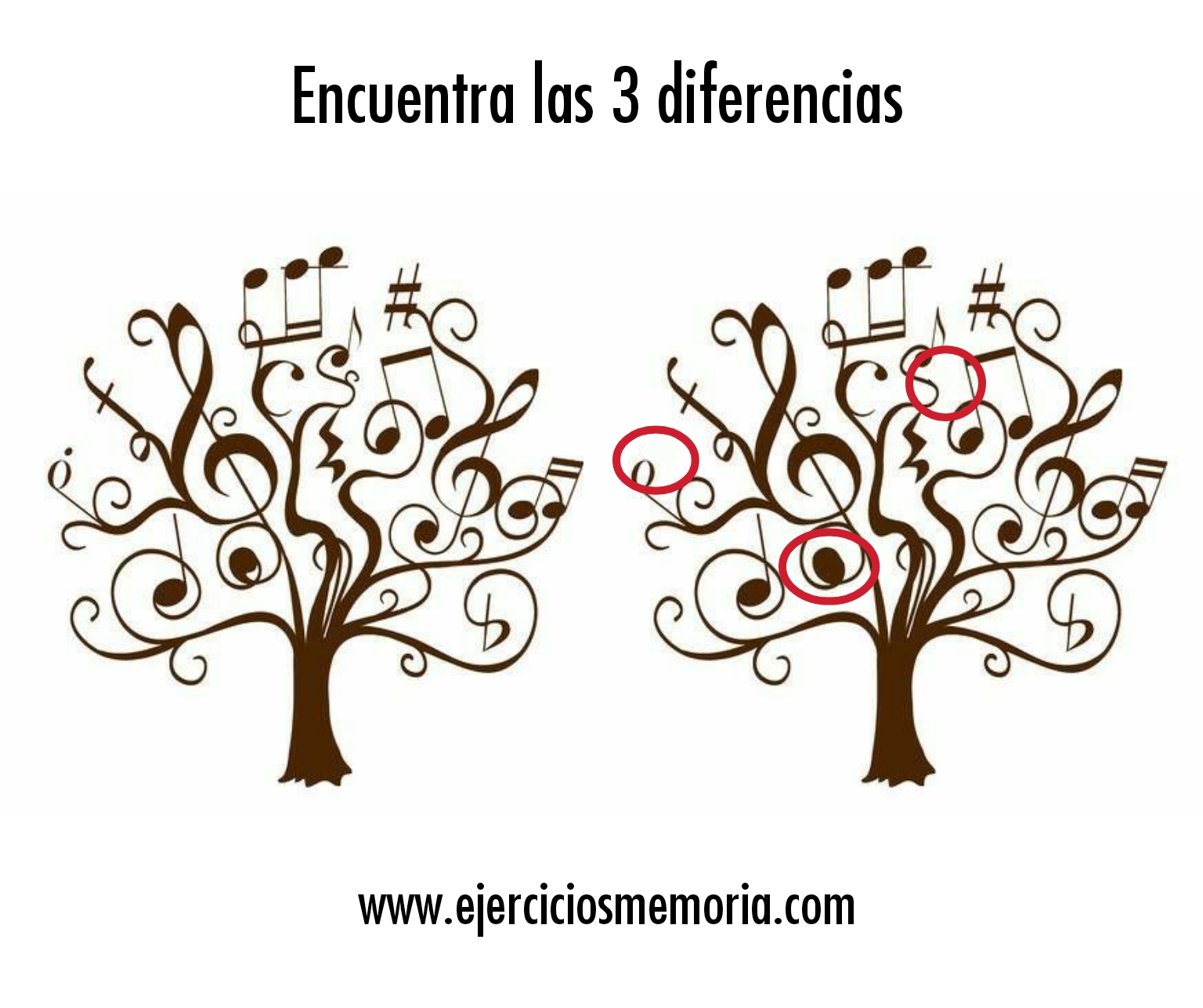 Solución al ejercicio: Encuentra las 3 diferencias