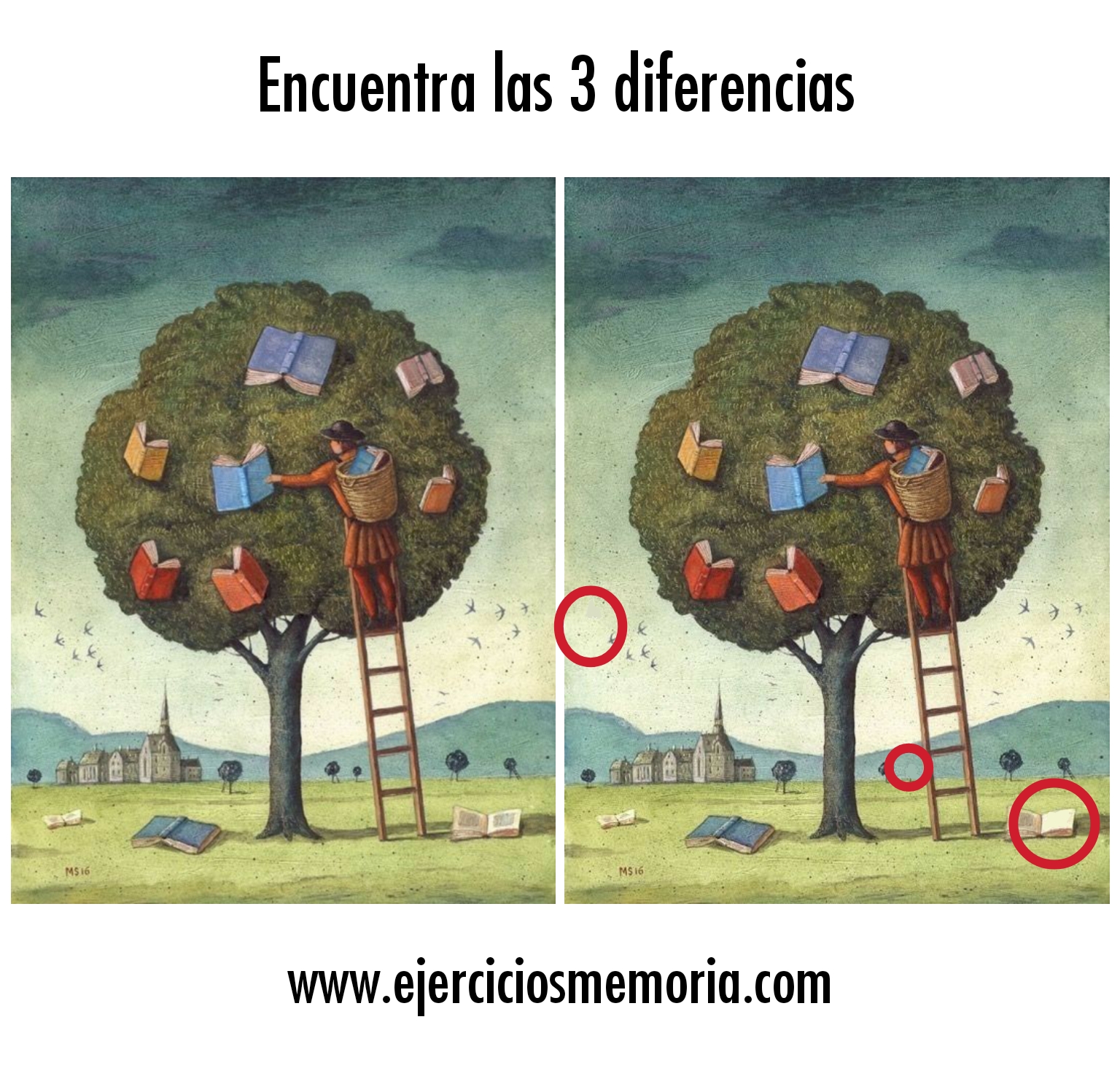 Solución al ejercicio: Encuentra las 3 diferencias