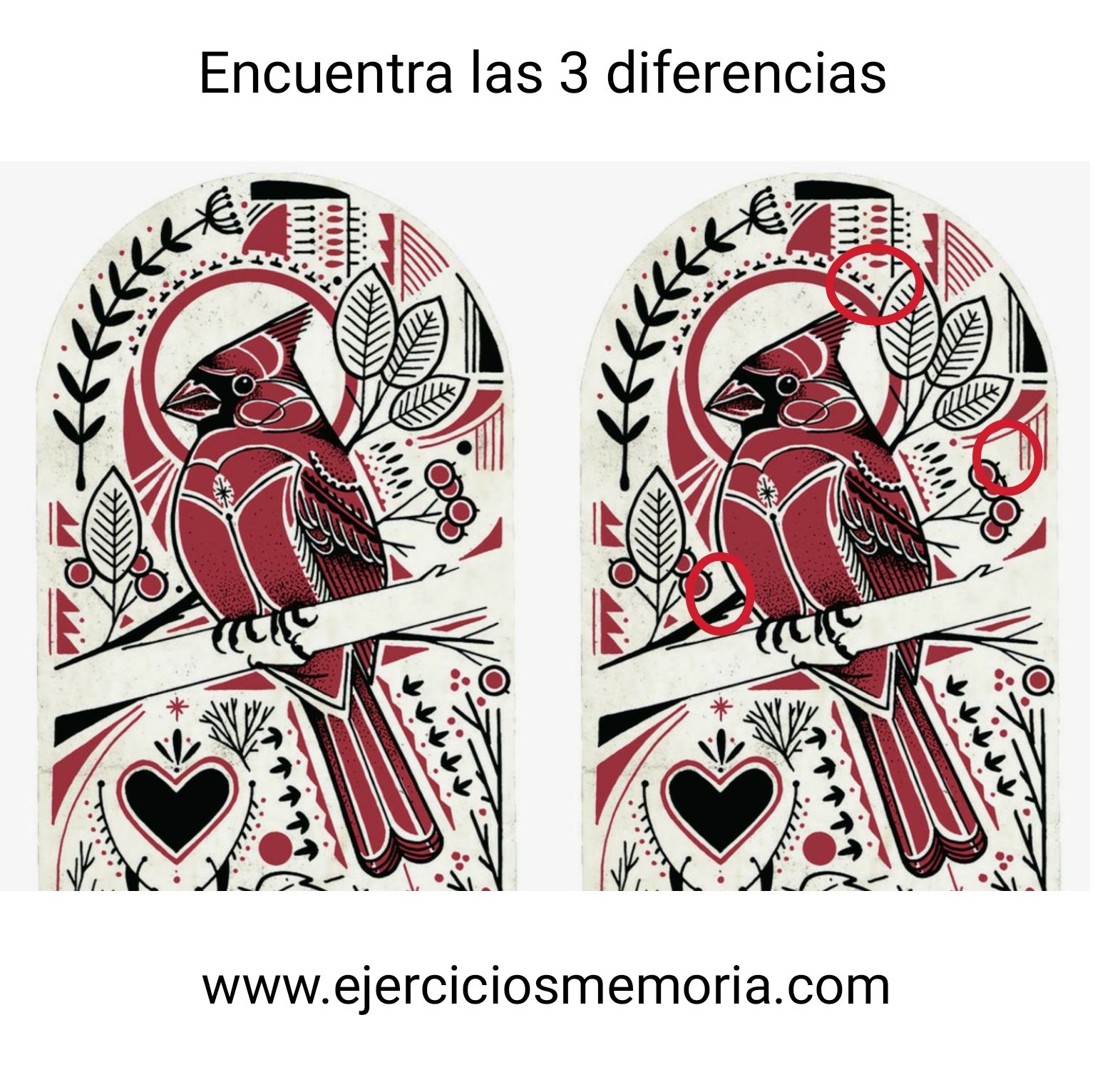 Solución al ejercicio: Encuentra las 3 diferencias