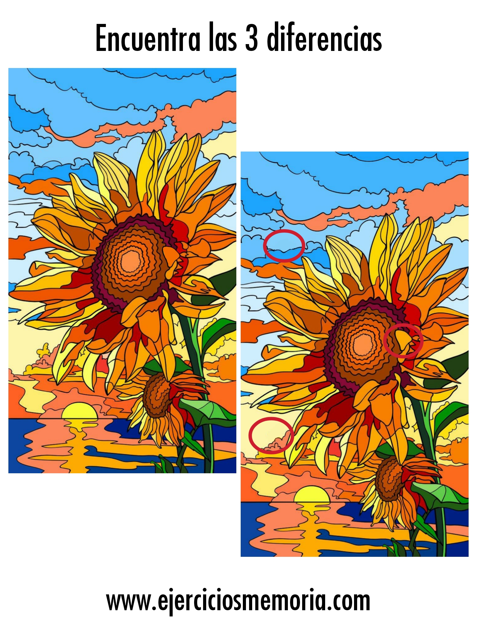 Solución al ejercicio: 