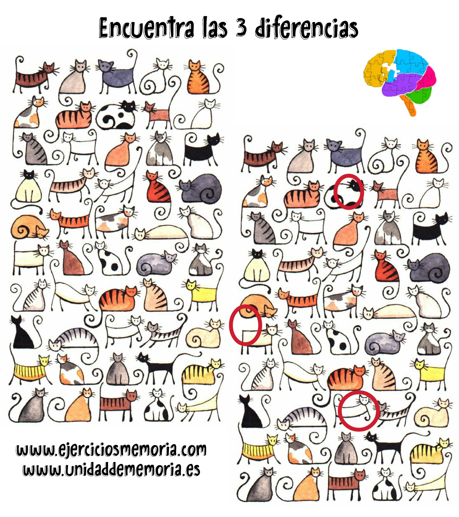 Solución al ejercicio: Diferencias. Estimulación Cognitiva