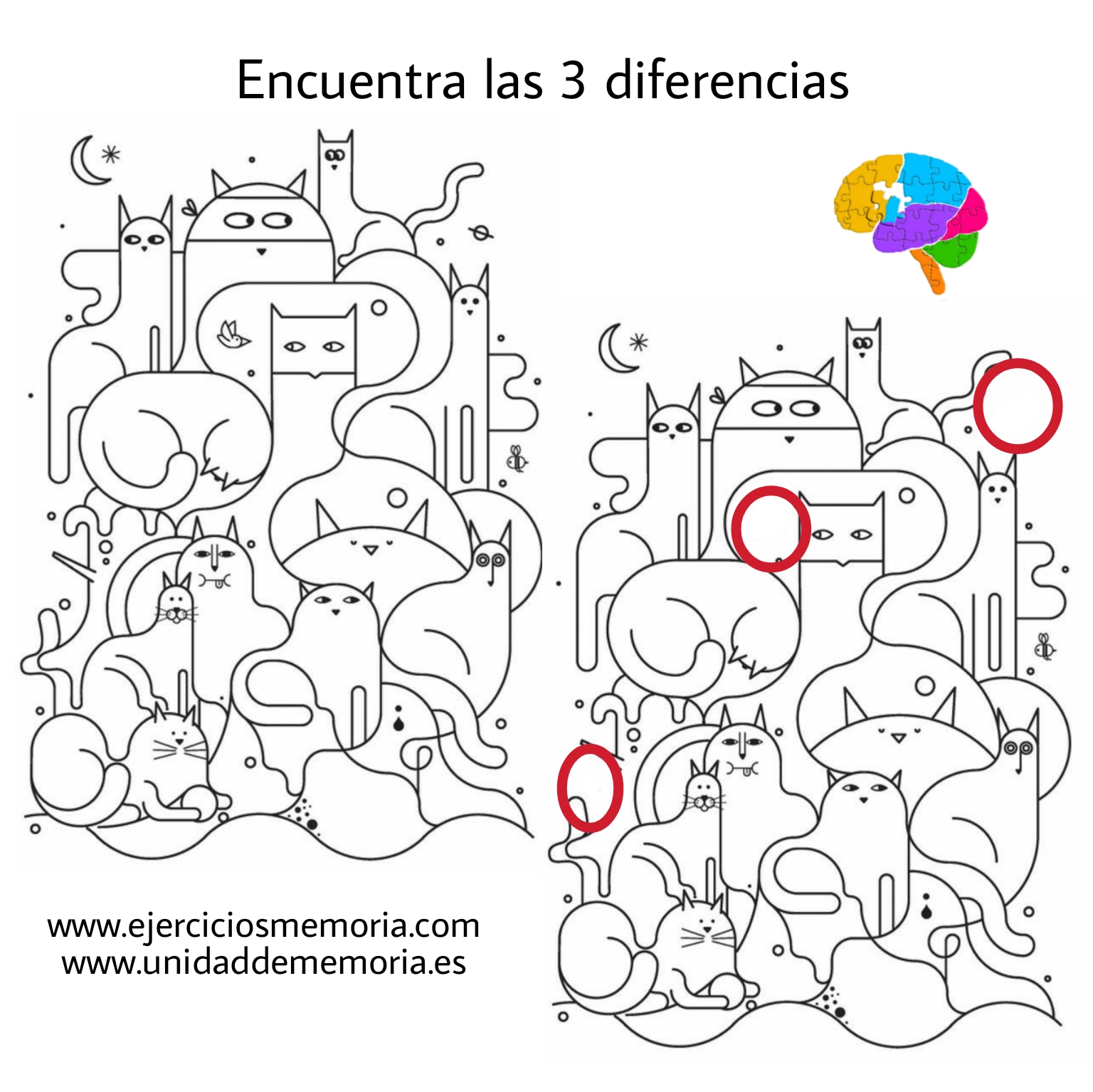 Solución al ejercicio: Estimulación Cognitiva
