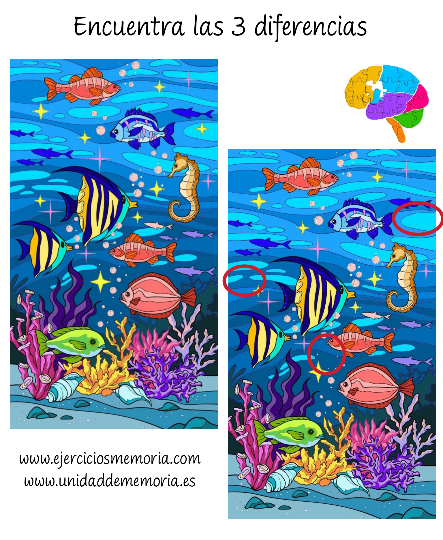 Solución al ejercicio: Estimulación Cognitiva