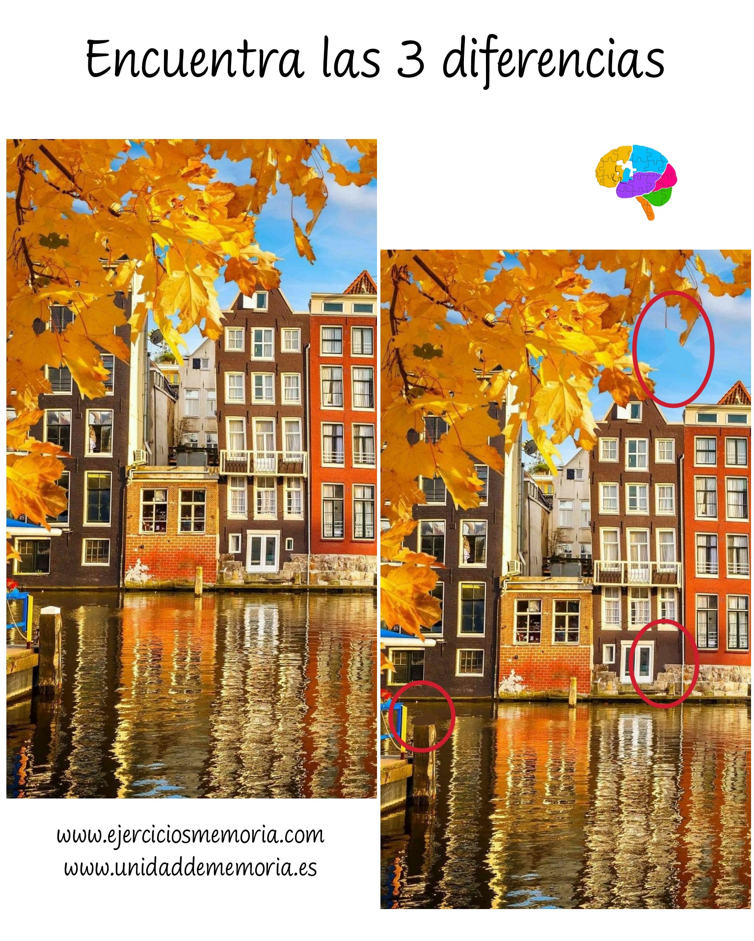 Solución al ejercicio: Estimulación Cognitiva