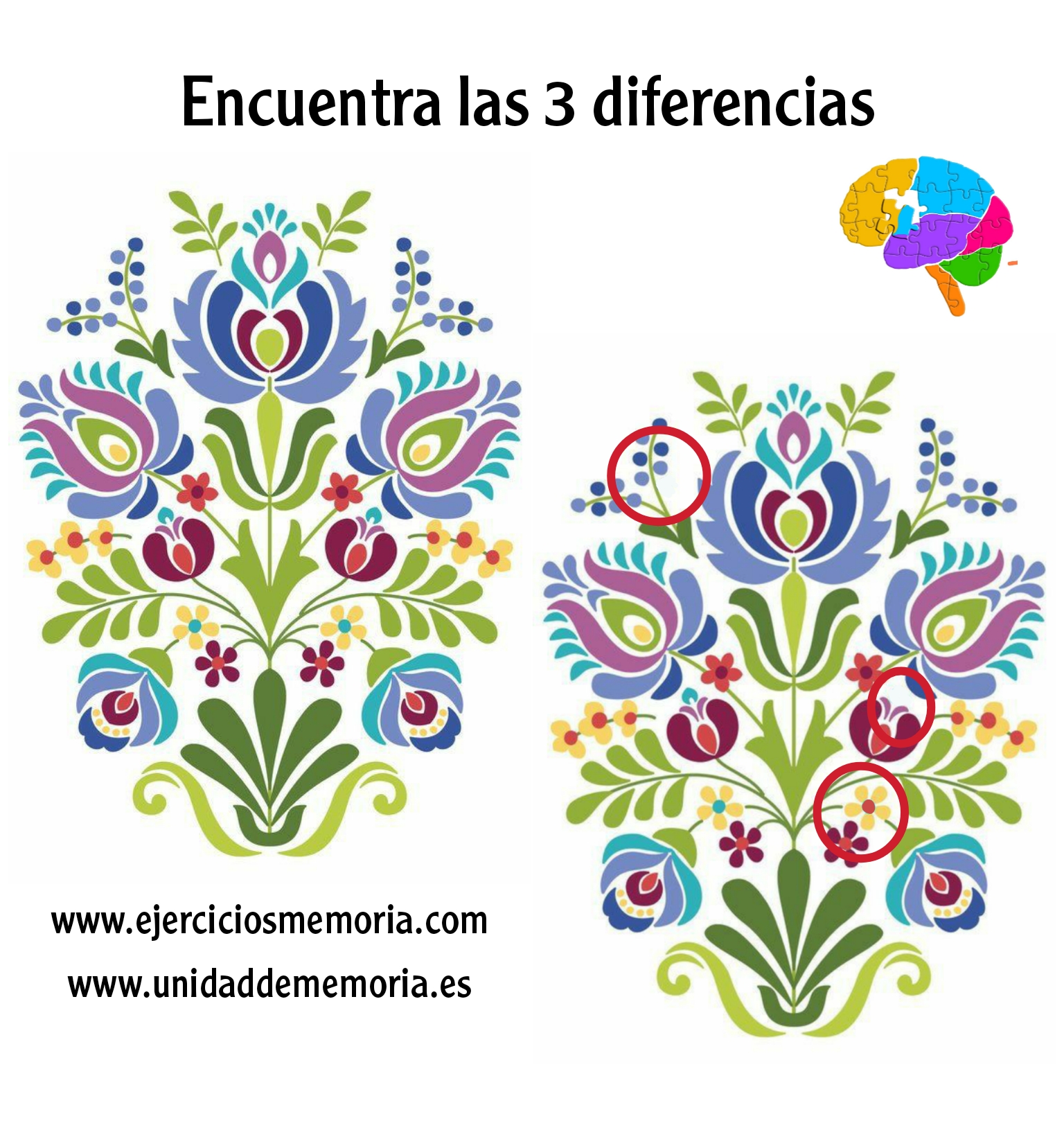 Solución al ejercicio: Estimulación Cognitiva