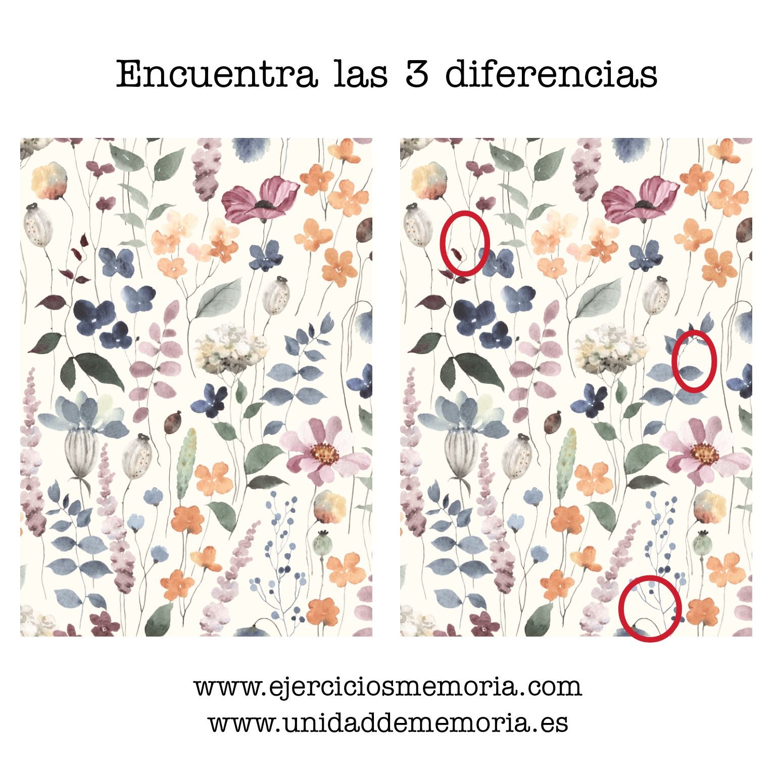 Solución al ejercicio: Estimulación cognitiva