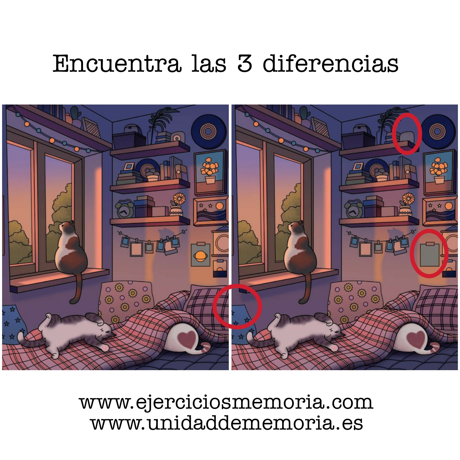 Solución al ejercicio: Diferencias