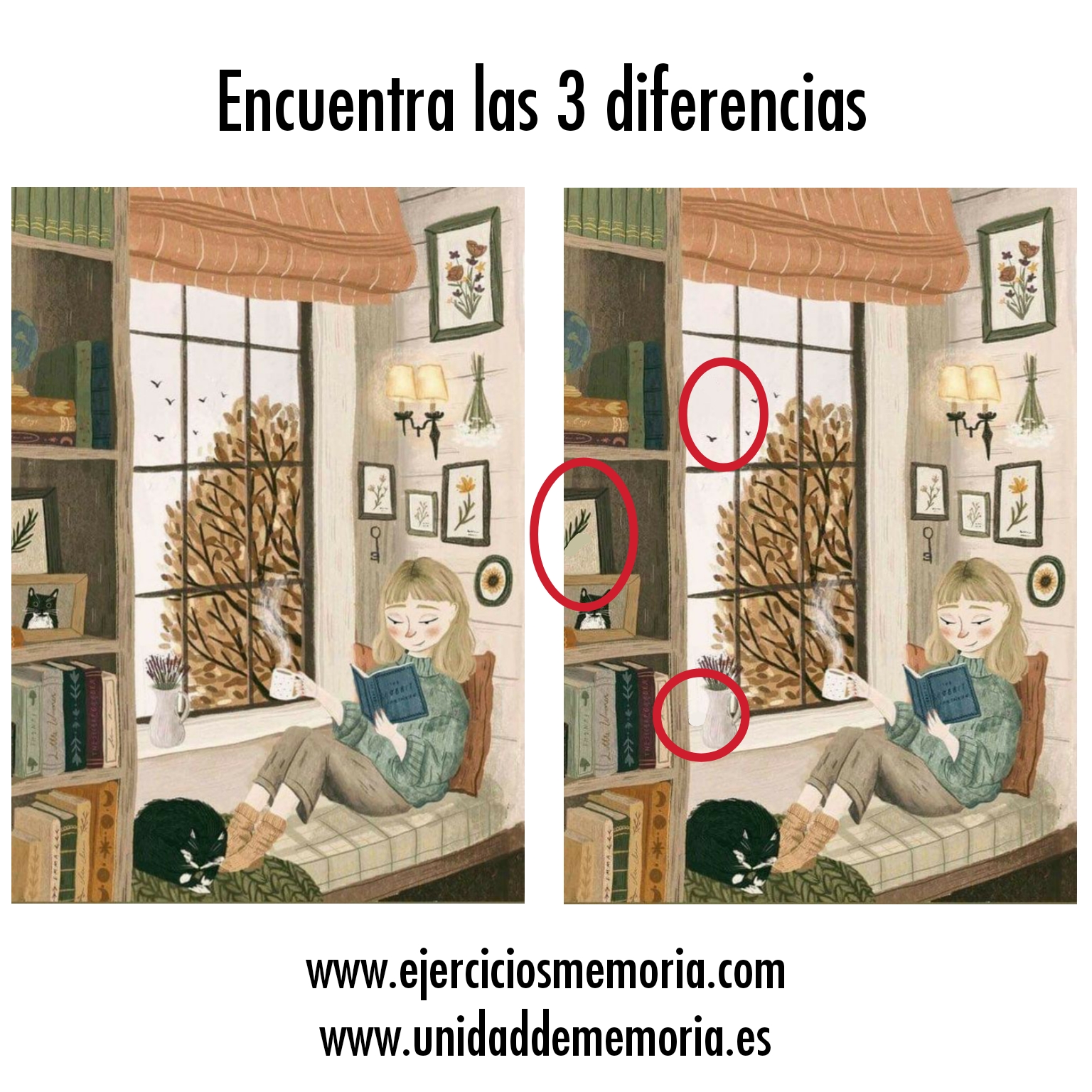 Solución al ejercicio: Diferencias