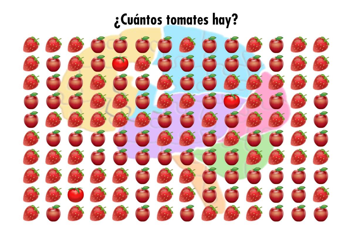 ¿Cuántos tomates hay?