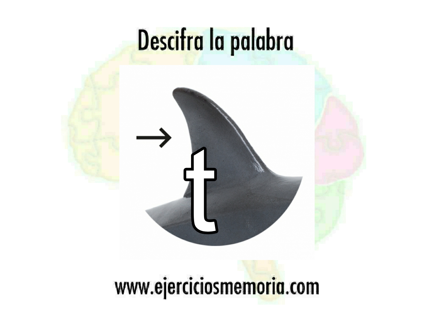 Descifra la palbra