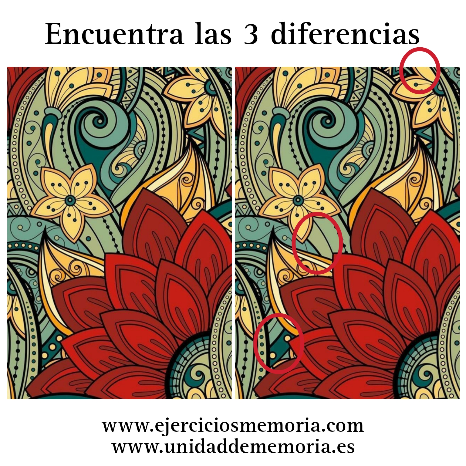 Solución al ejercicio: Diferencias