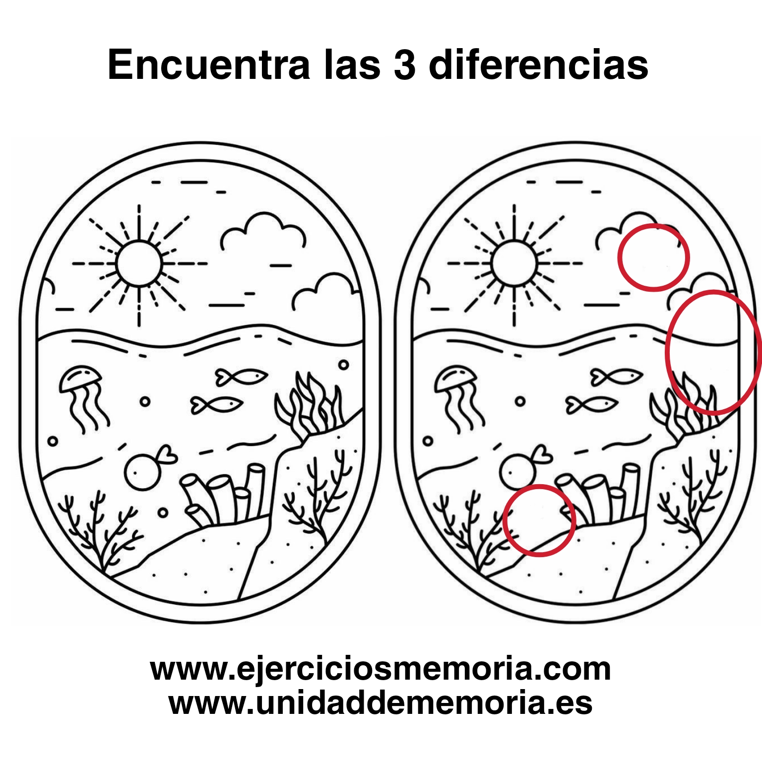 Solución al ejercicio: Diferencias