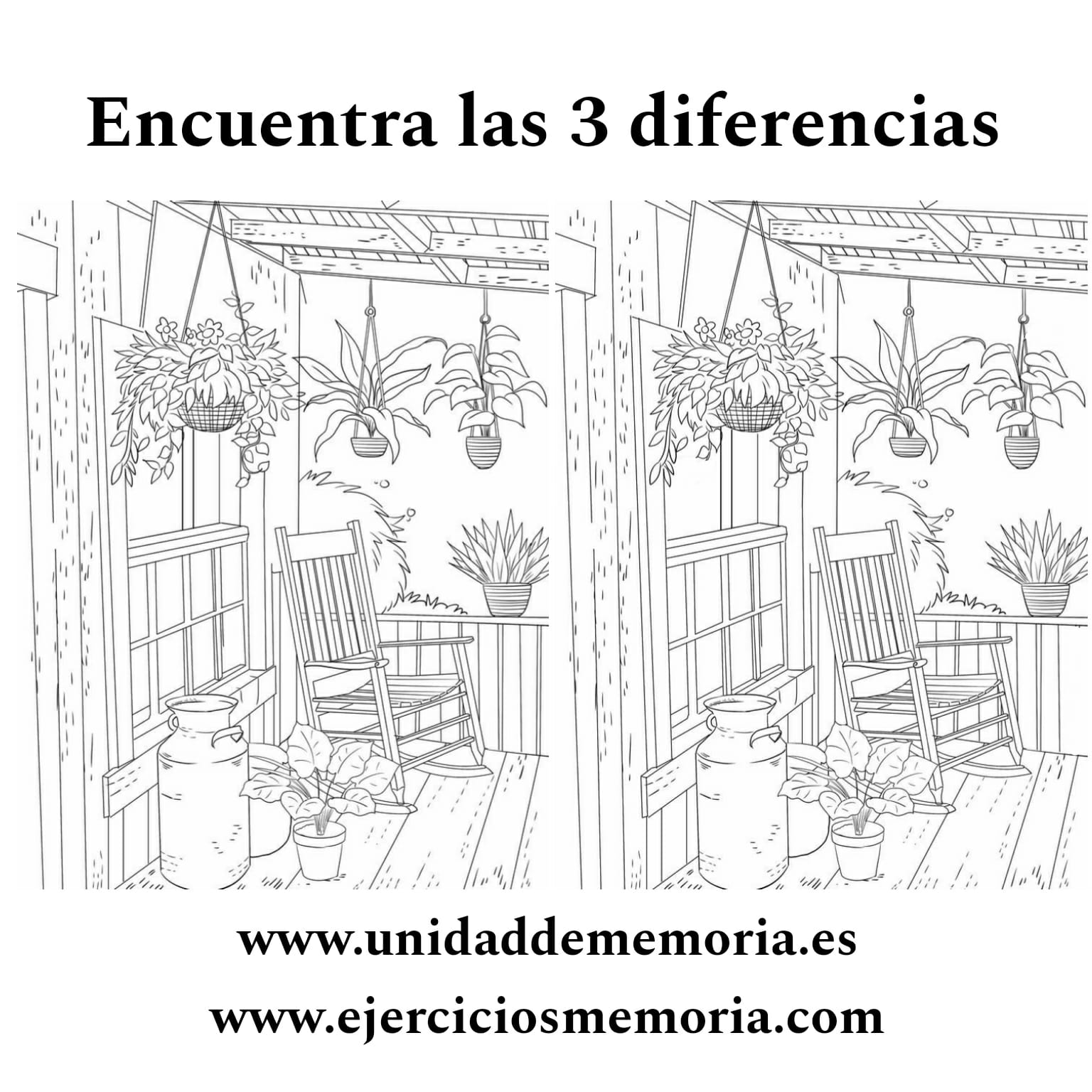 Diferencias