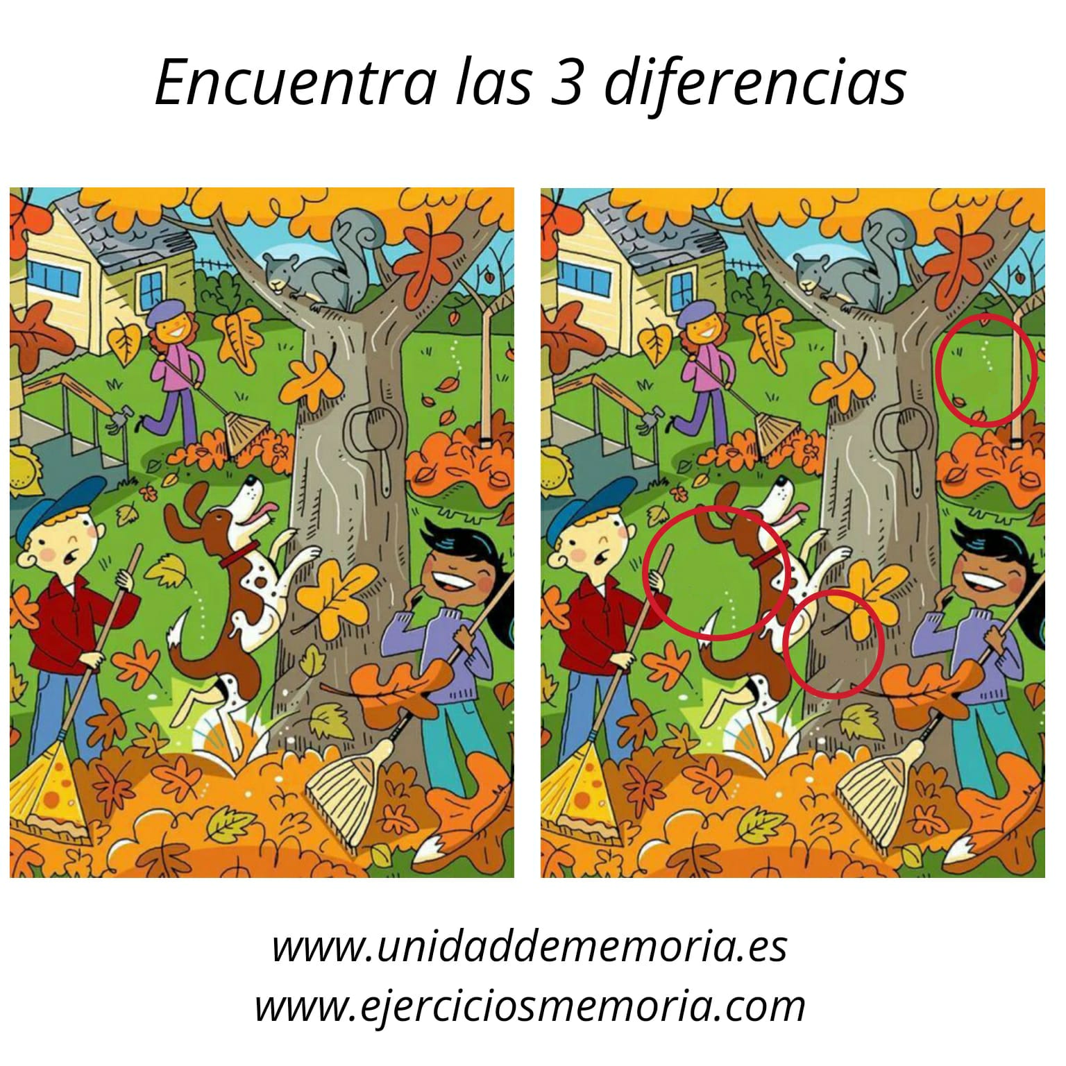 Solución al ejercicio: Diferencias