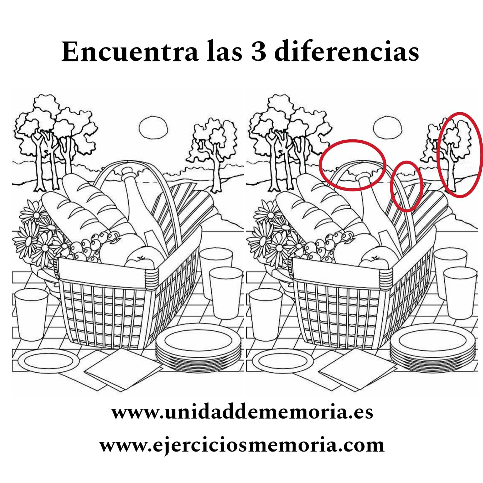 Solución al ejercicio: Diferencias