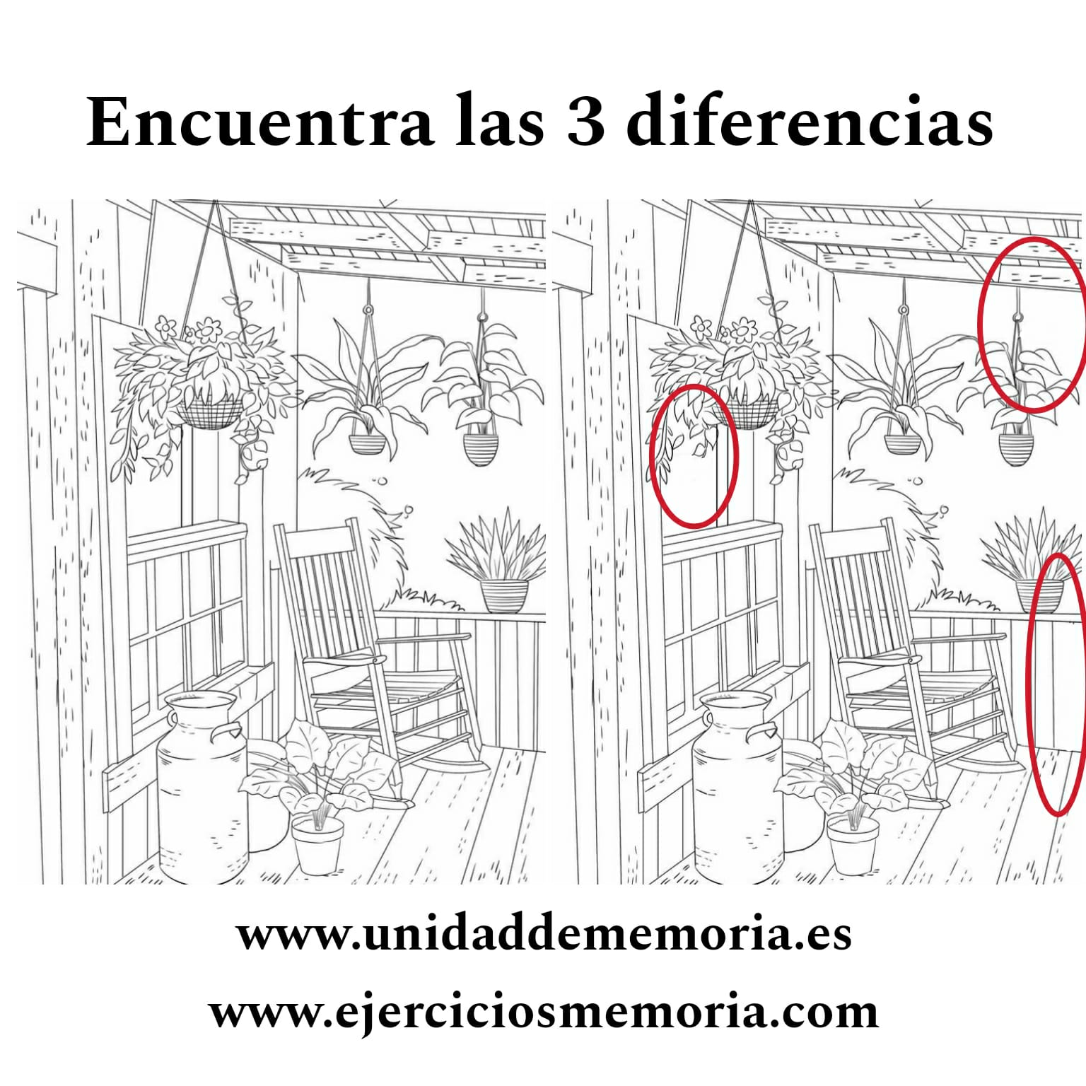 Solución al ejercicio: Diferencias
