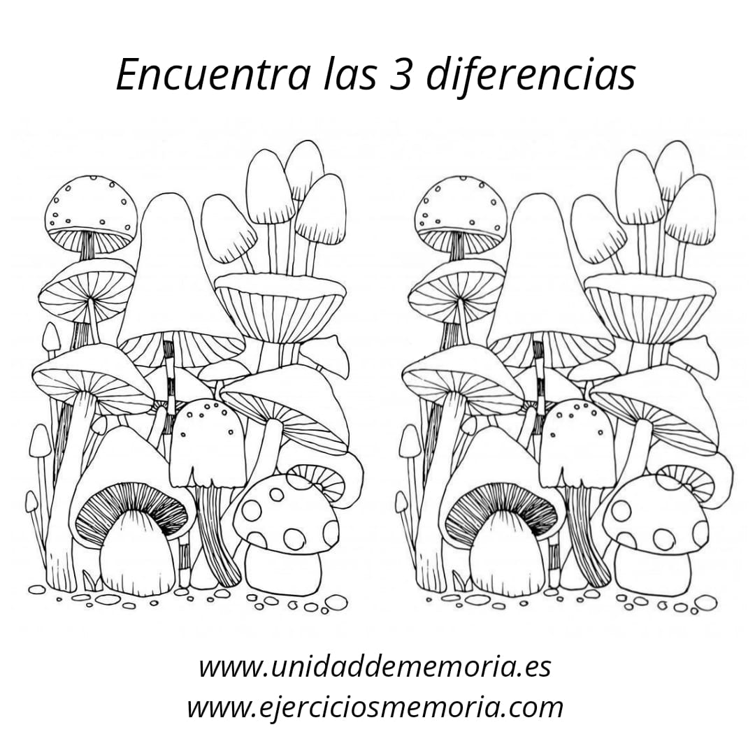 Diferencias