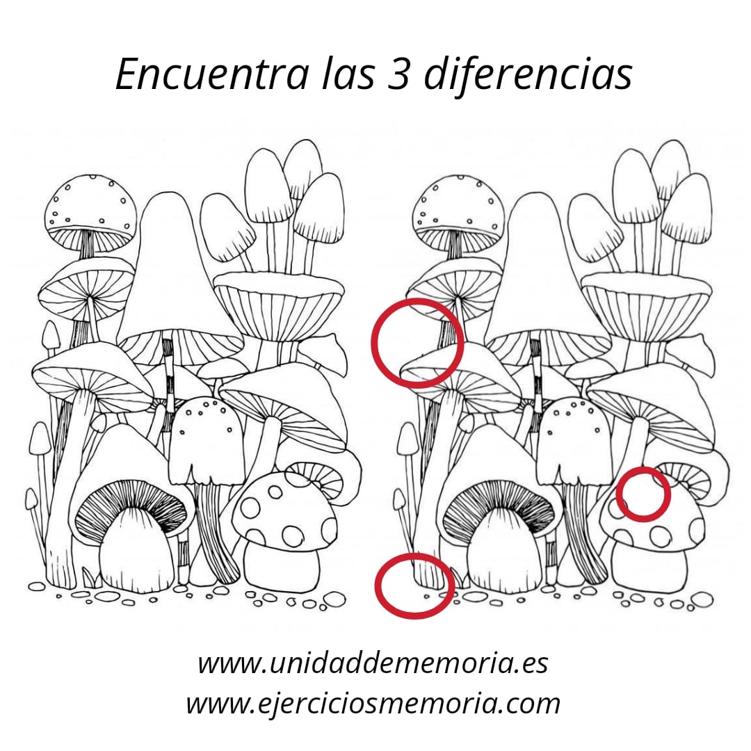 Solución al ejercicio: Diferencias