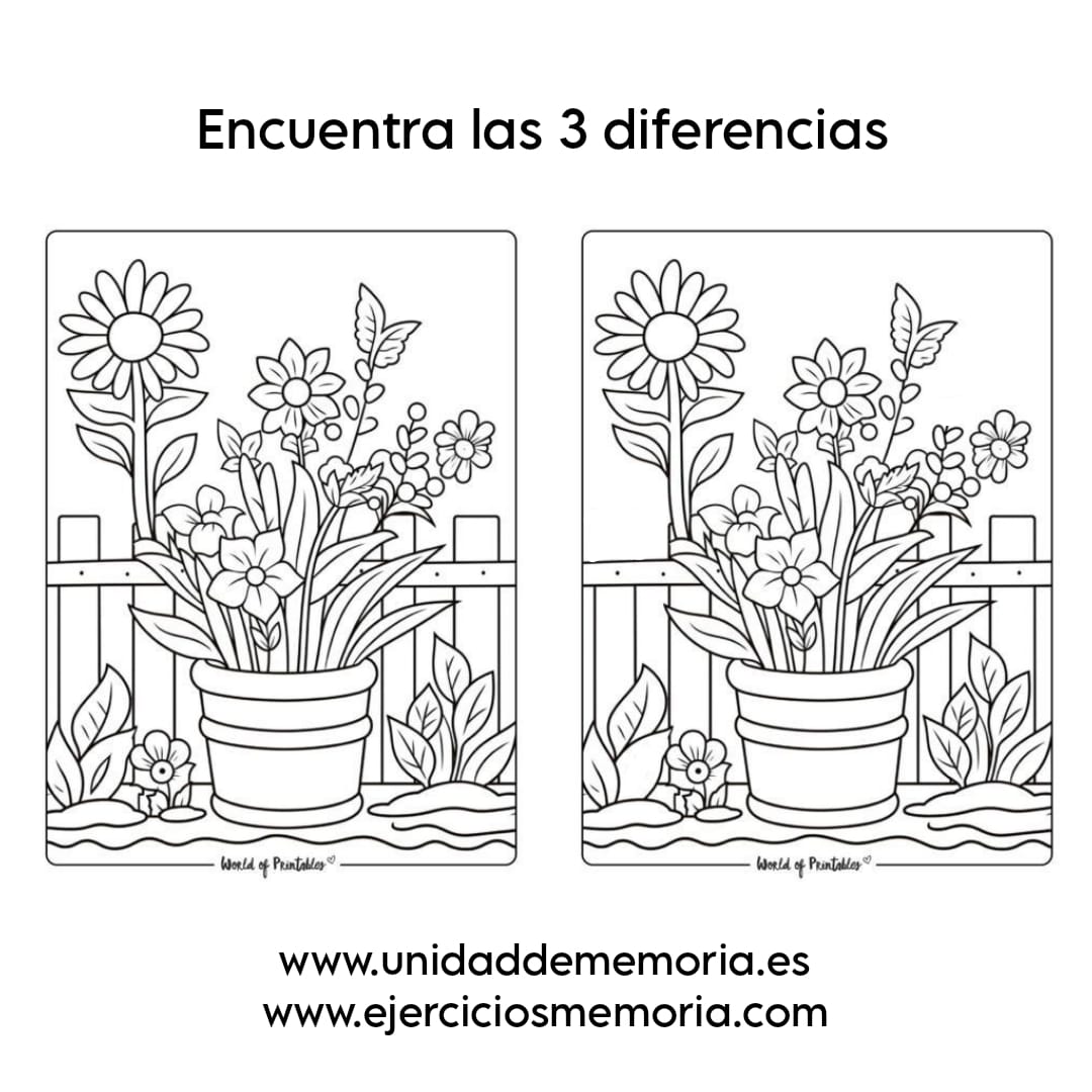 Diferencias