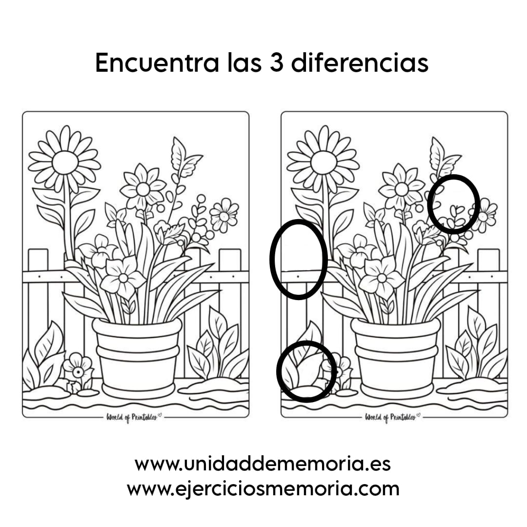 Solución al ejercicio: Diferencias