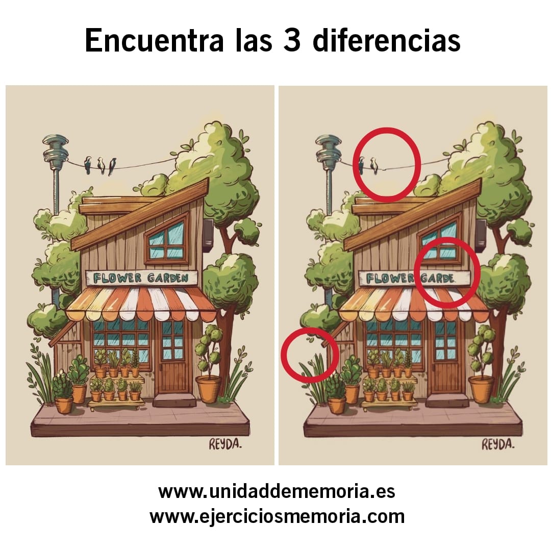 Solución al ejercicio: Diferencias