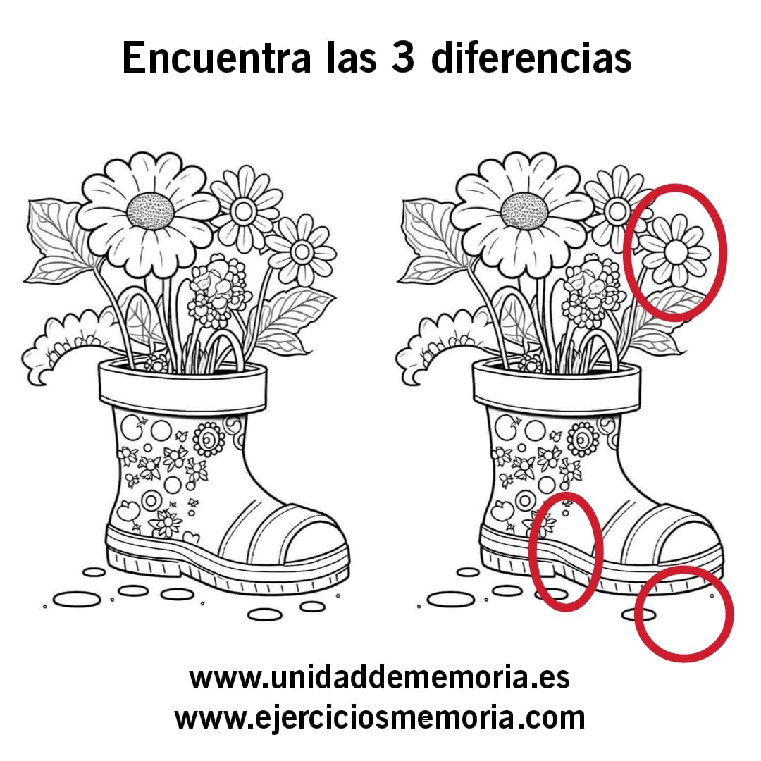 Solución al ejercicio: Diferencias