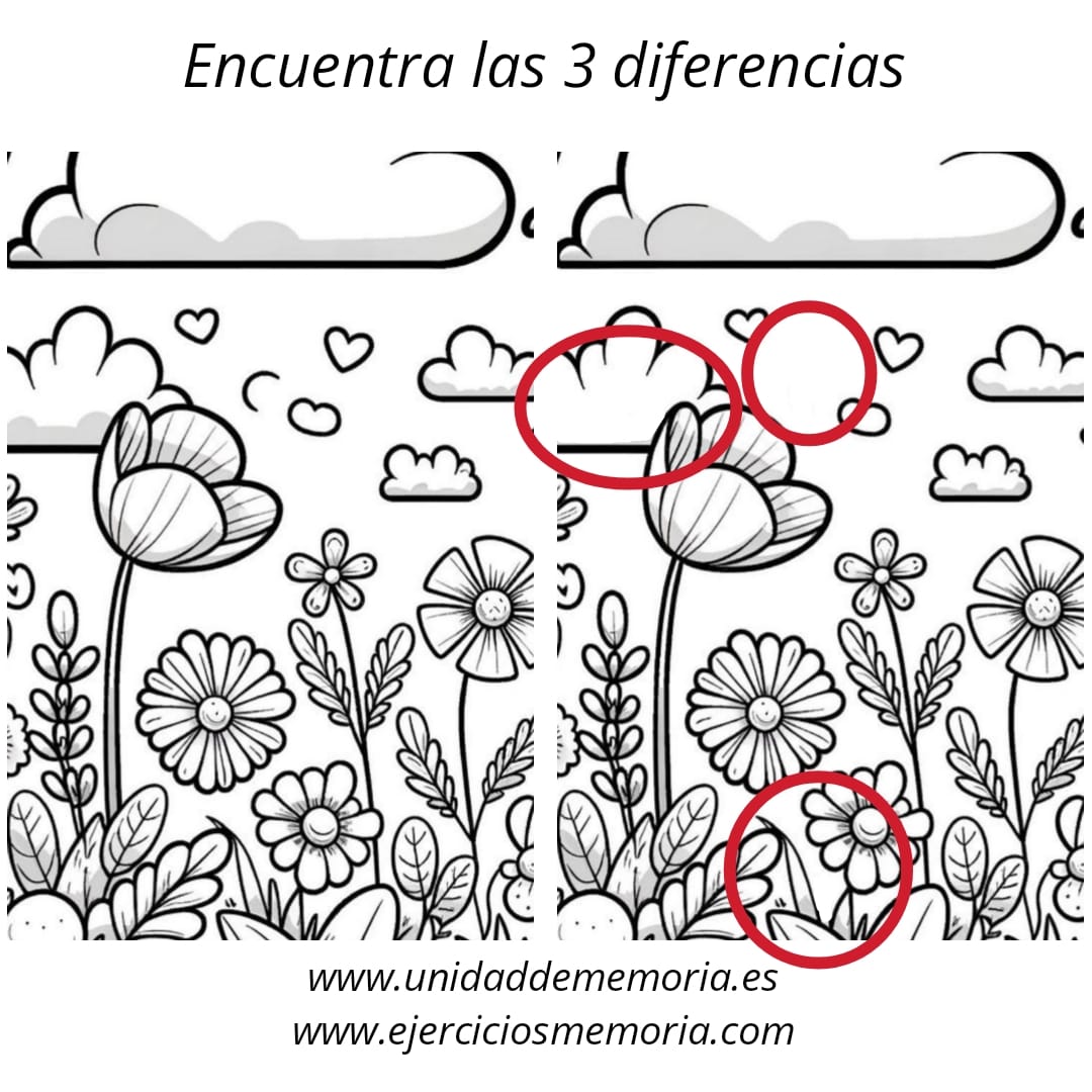 Solución al ejercicio: Diferencias