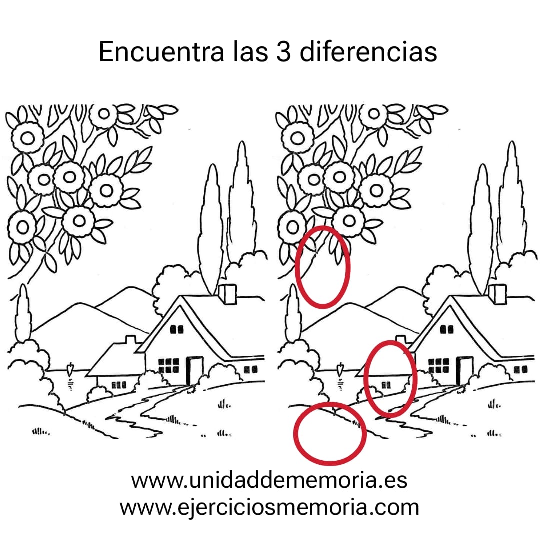 Solución al ejercicio: Diferencias