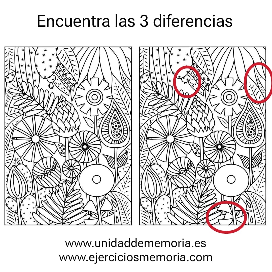 Solución al ejercicio: Diferencias