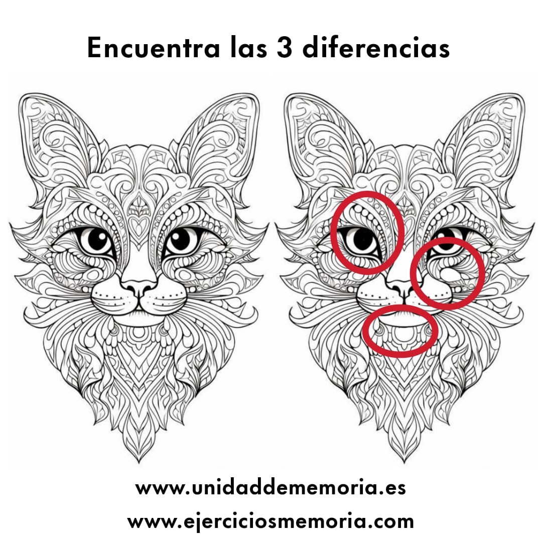 Solución al ejercicio: Diferencias