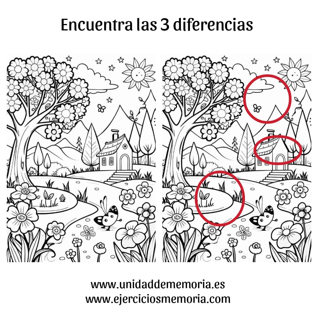 Solución al ejercicio: Diferencias