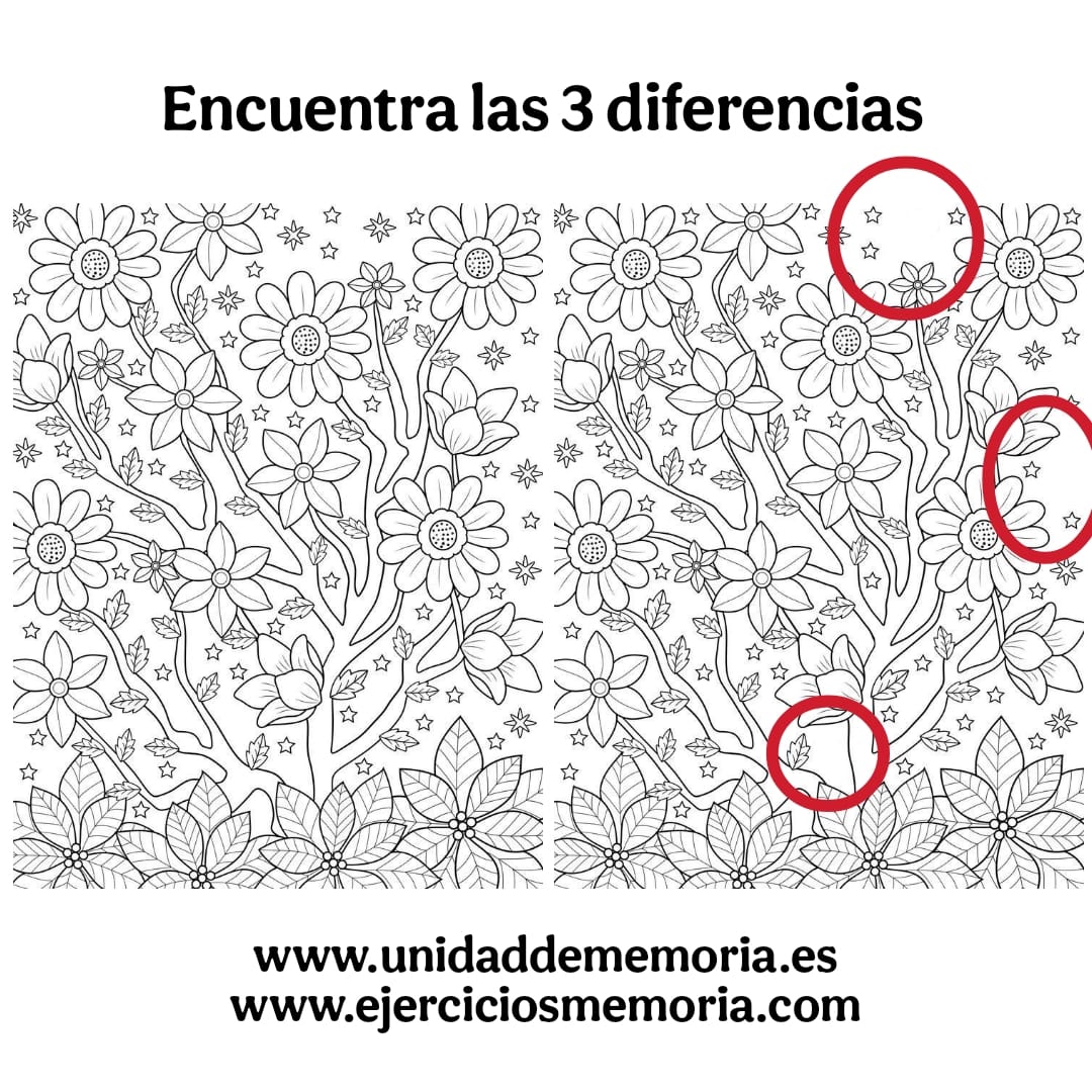 Solución al ejercicio: Diferencias